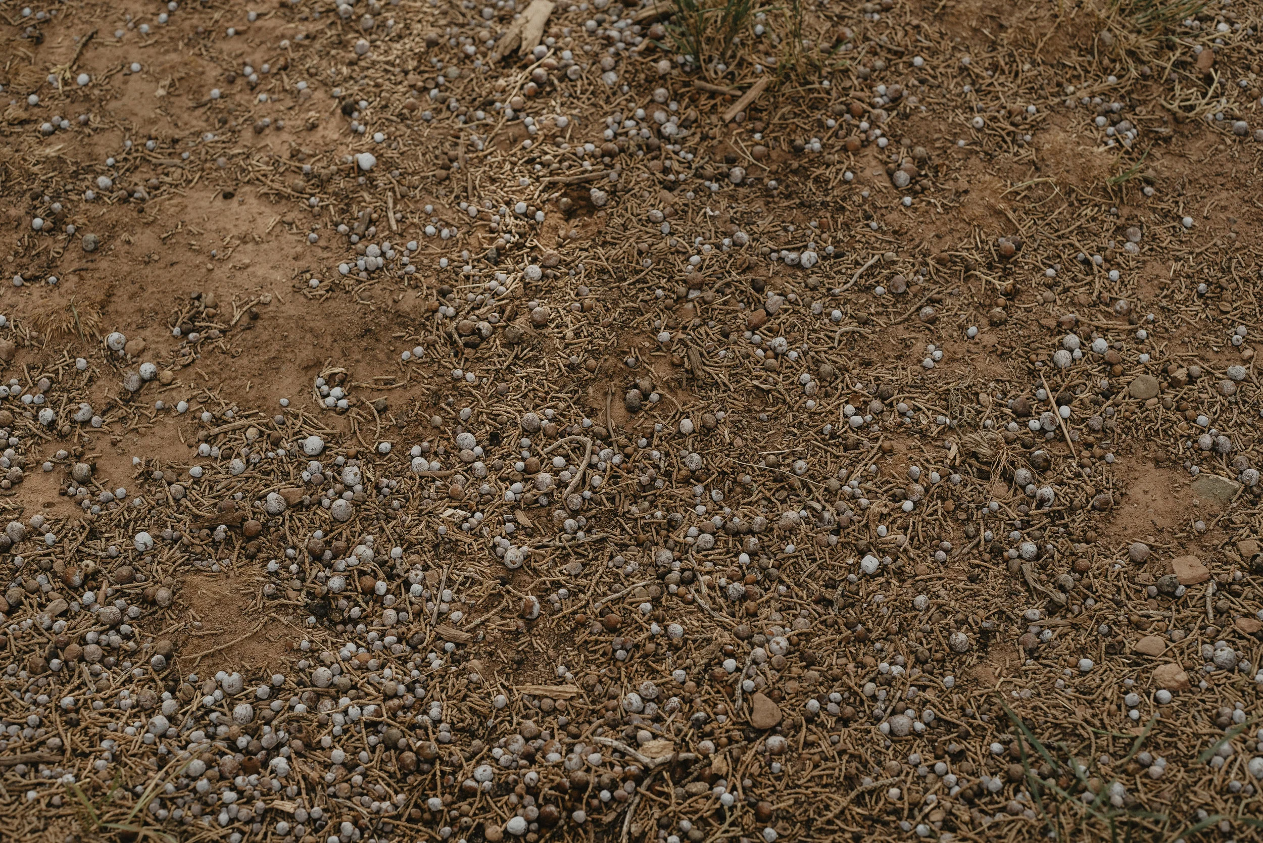 beehive-barebones-3-step-hideaway-hi-res-06725.jpg