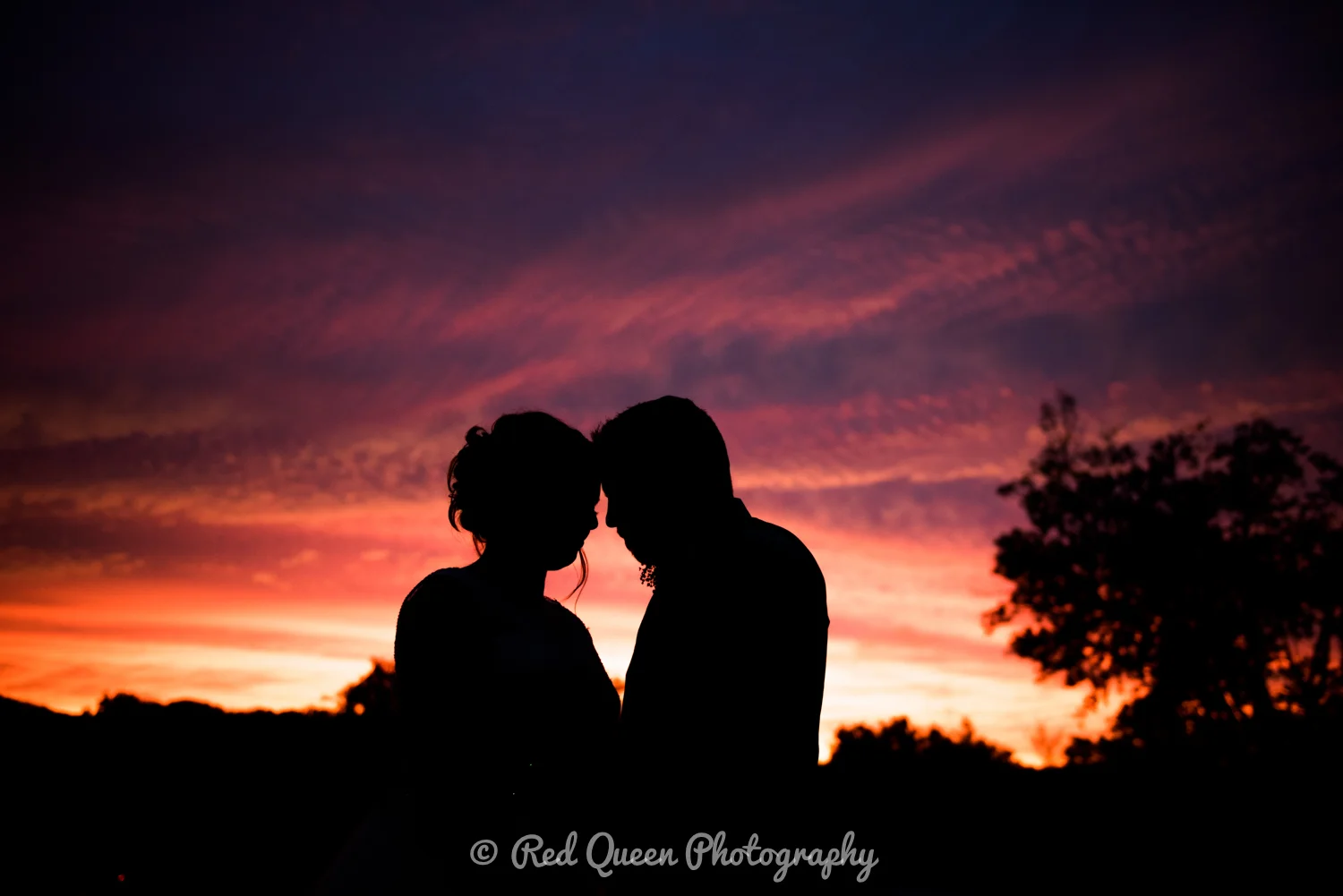 weddings2016-132.jpg
