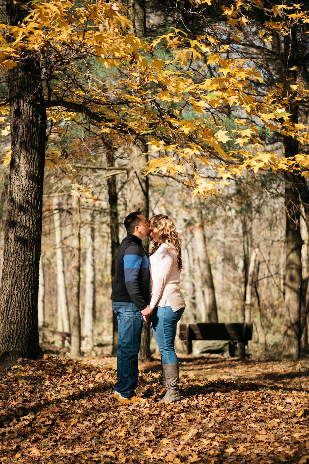 bradys-run-park-engagement-photo-020.jpg