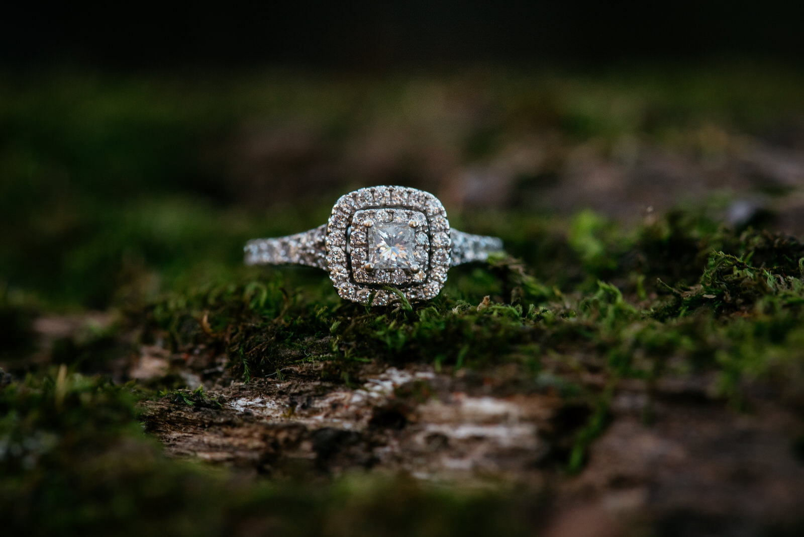 bradys-run-park-engagement-photo-004.jpg