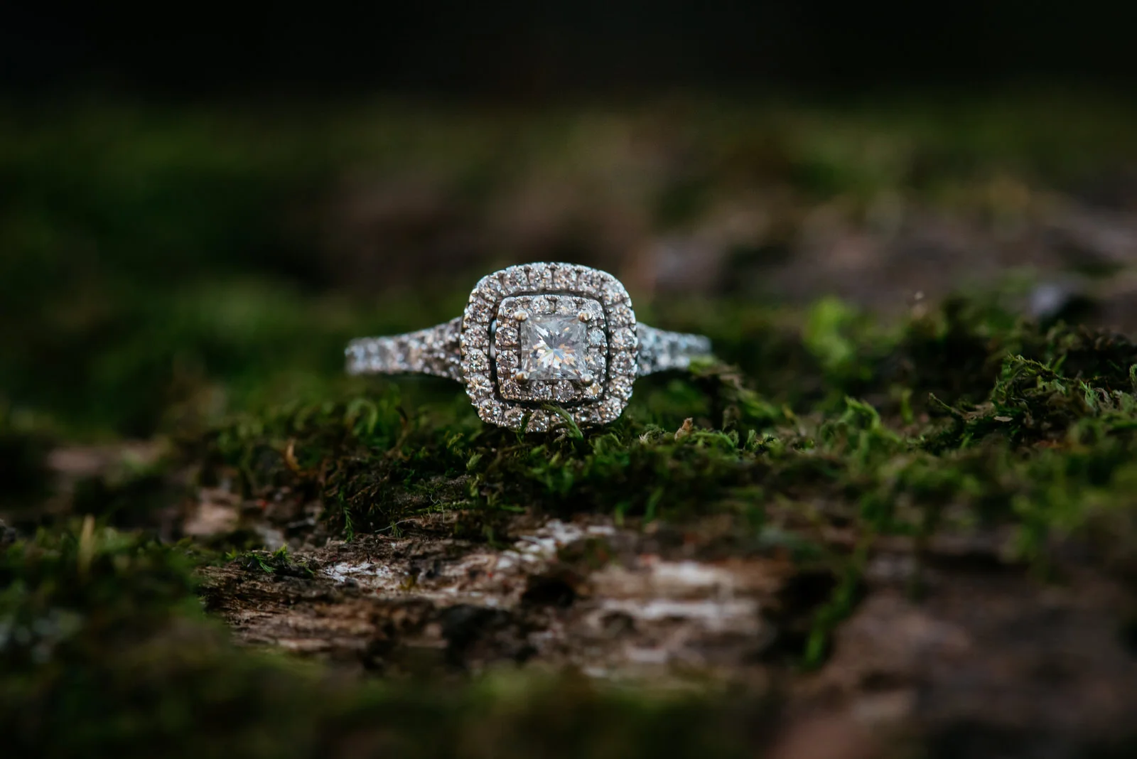 bradys-run-park-engagement-photo-004.jpg