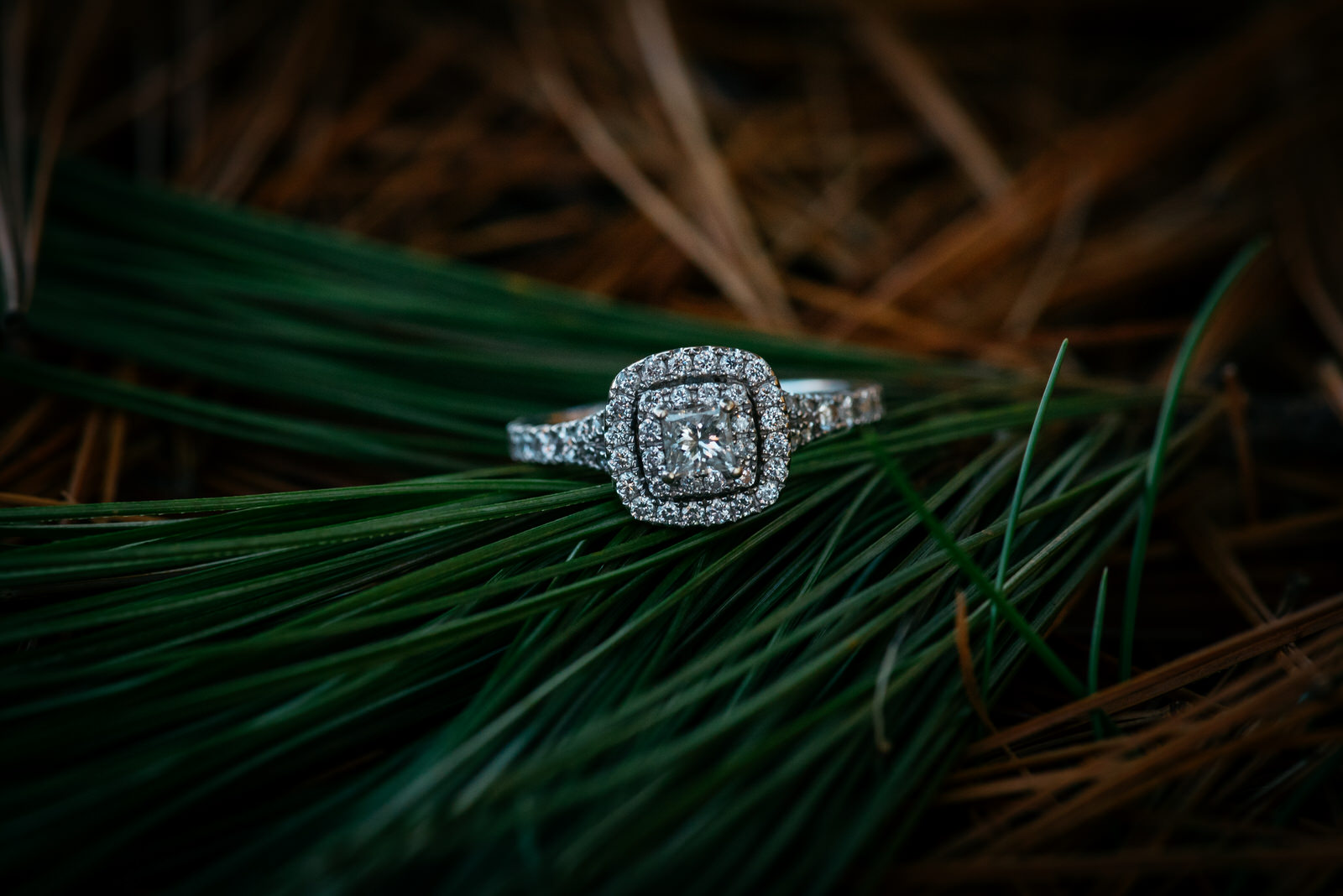 bradys-run-park-engagement-photo-005.jpg