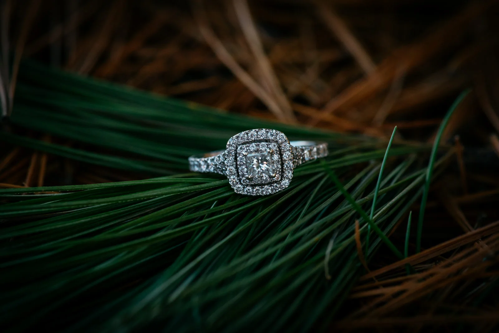 bradys-run-park-engagement-photo-005.jpg