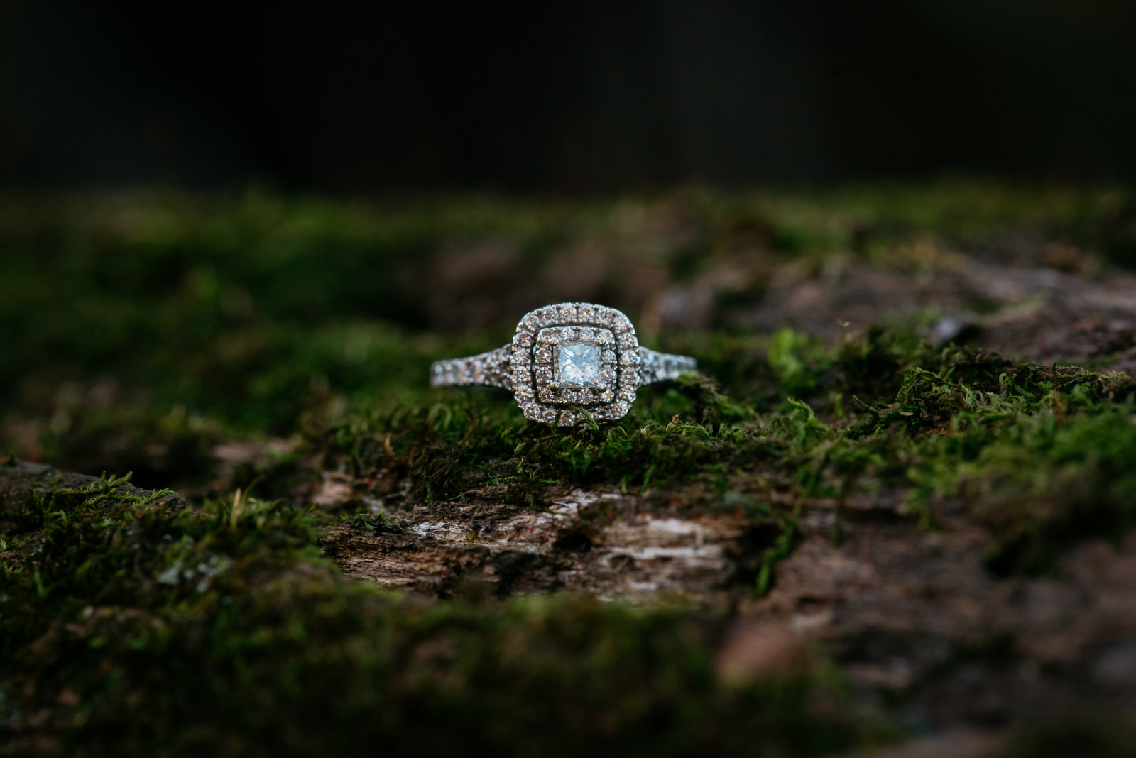 bradys-run-park-engagement-photo-003.jpg