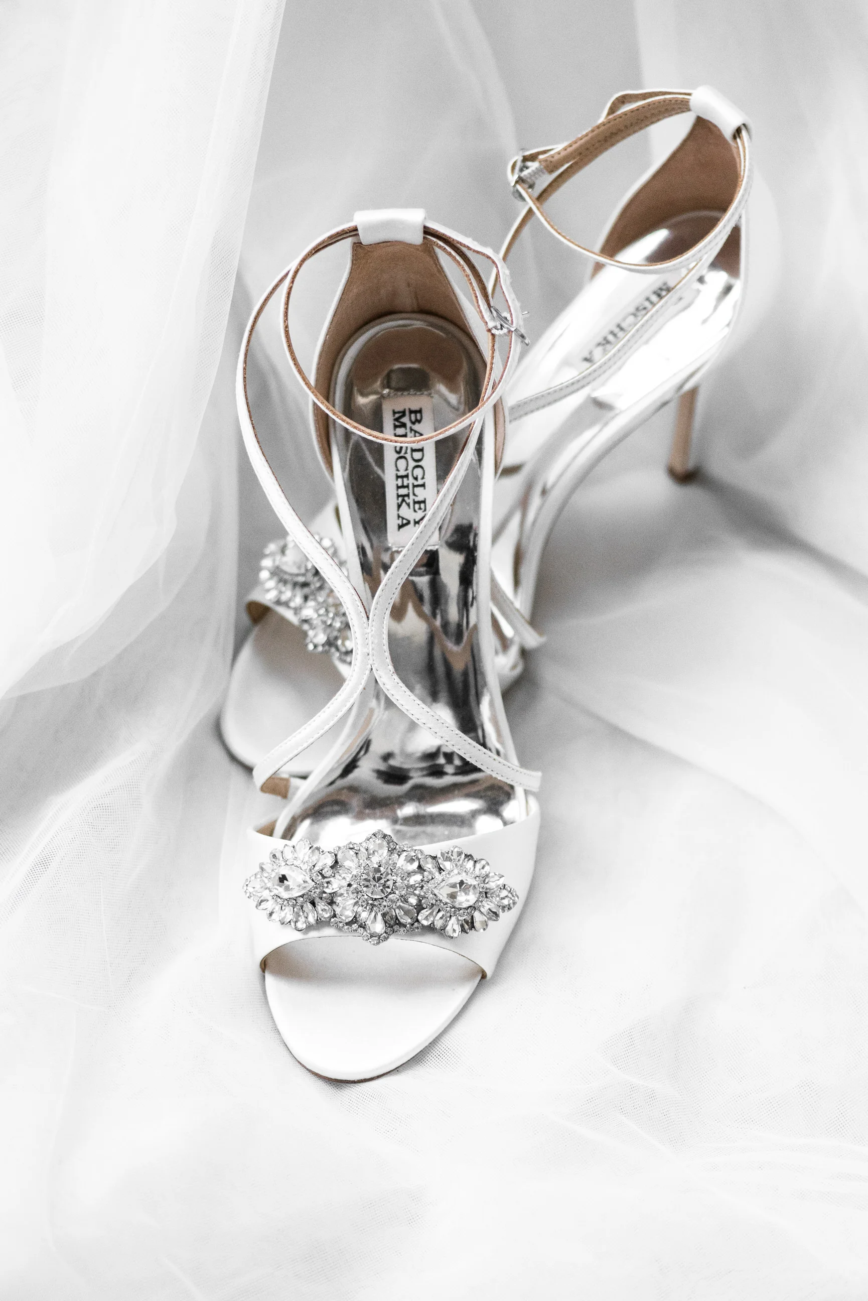 Carnegie-Museum-of-Natural-History-Pittsburgh-Wedding_24.jpg