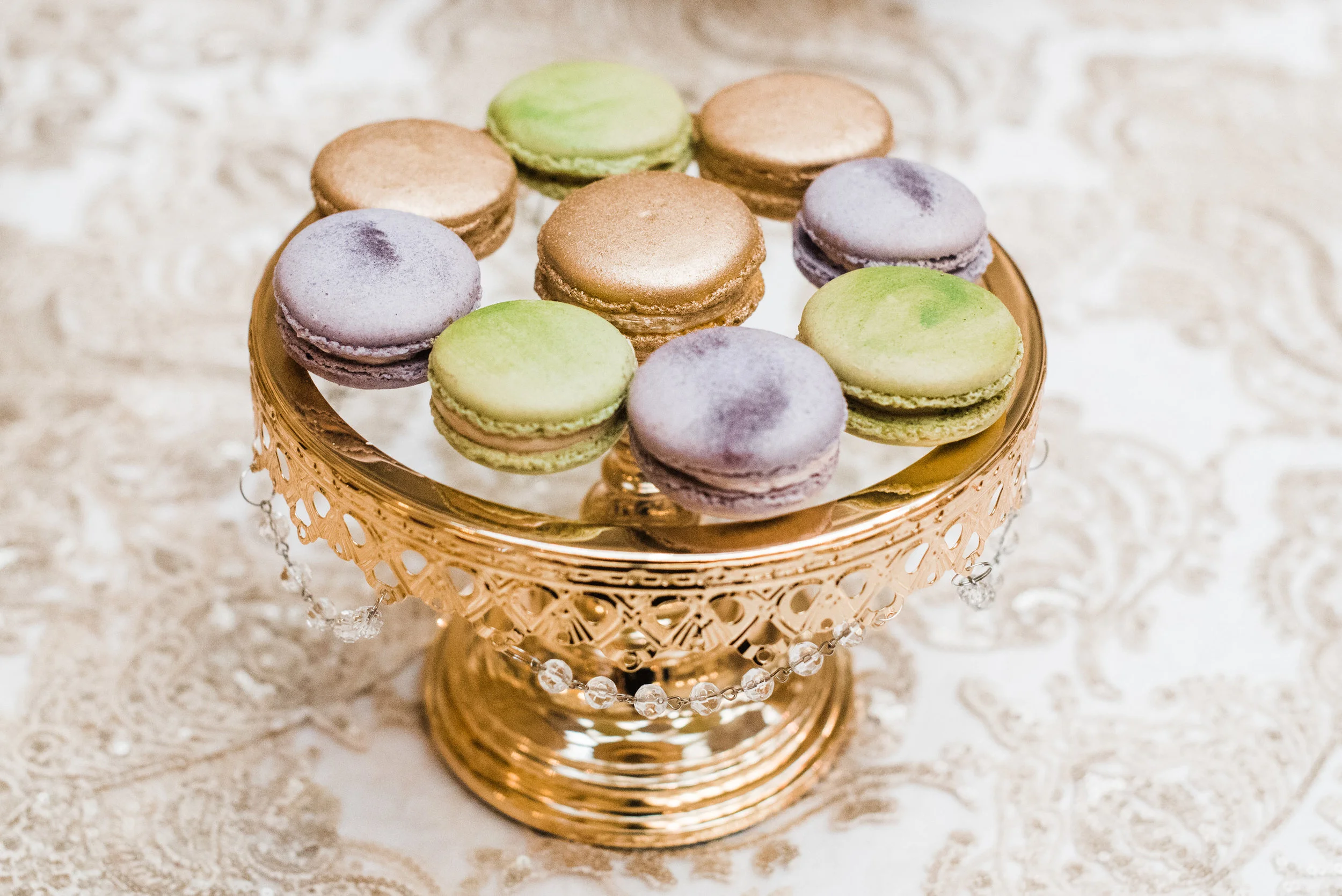 Carnegie-Museum-of-Natural-History-Pittsburgh-Wedding_61.jpg