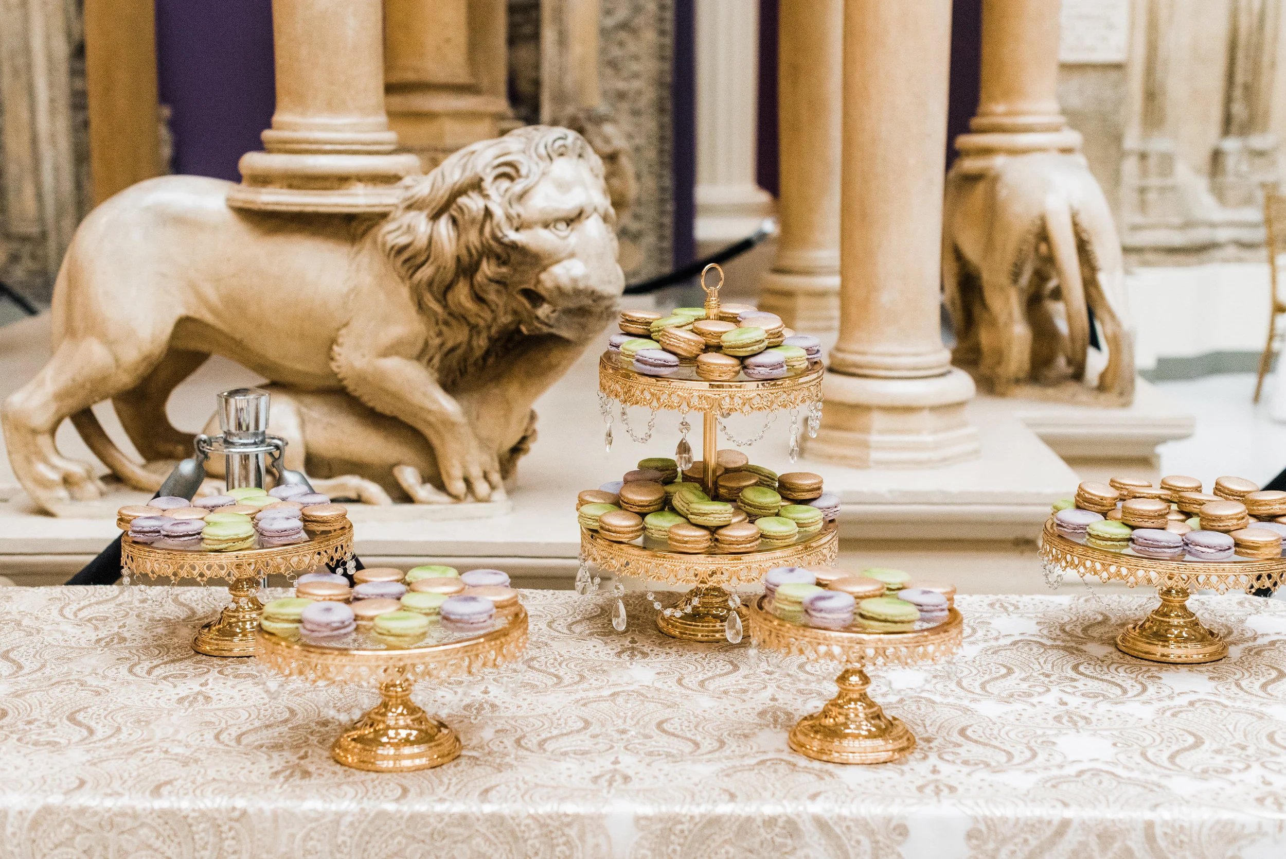 Carnegie-Museum-of-Natural-History-Pittsburgh-Wedding_63.jpg