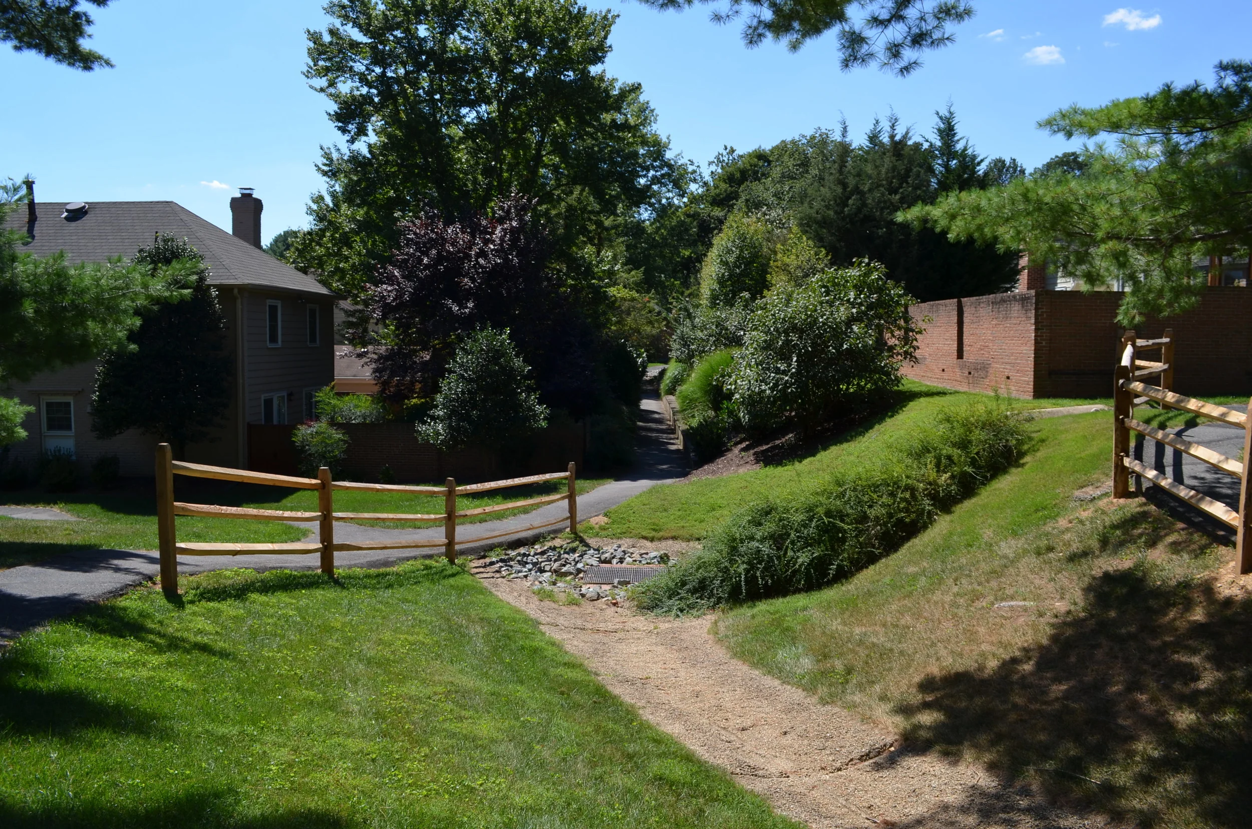 DSC_1005.JPG