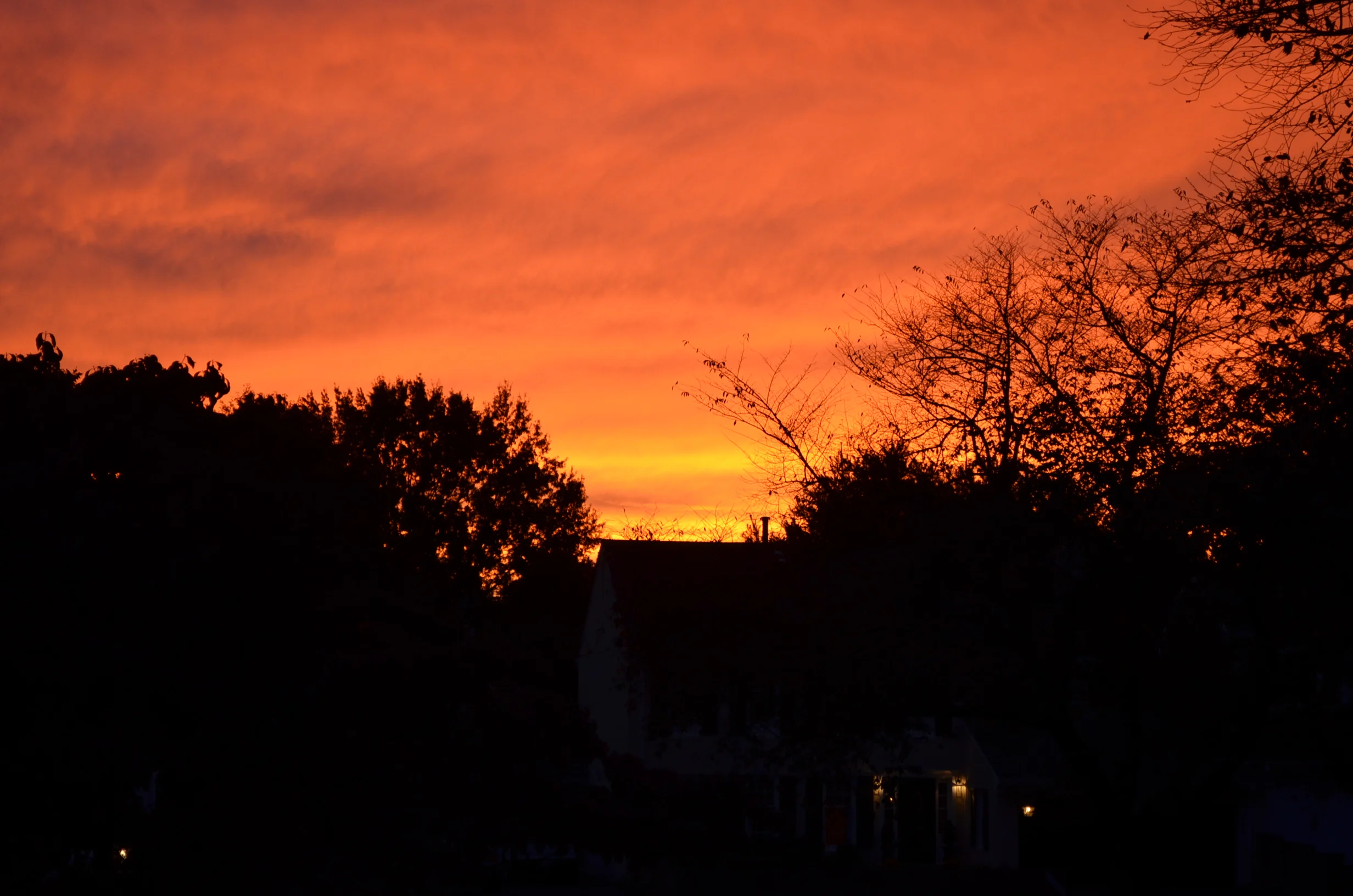 DSC_0025.JPG