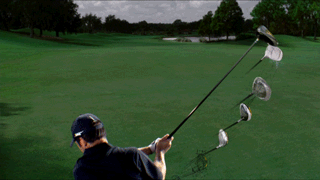 nikesumo1-1.gif