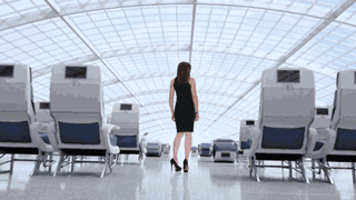 capSeats1-2.gif