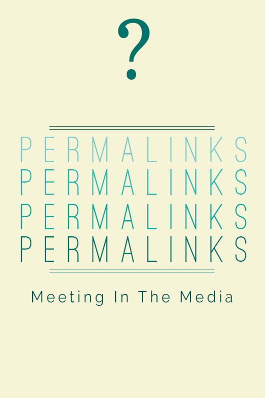 MeetingInTheMedia_Banner_WordPress_Permalinks.png