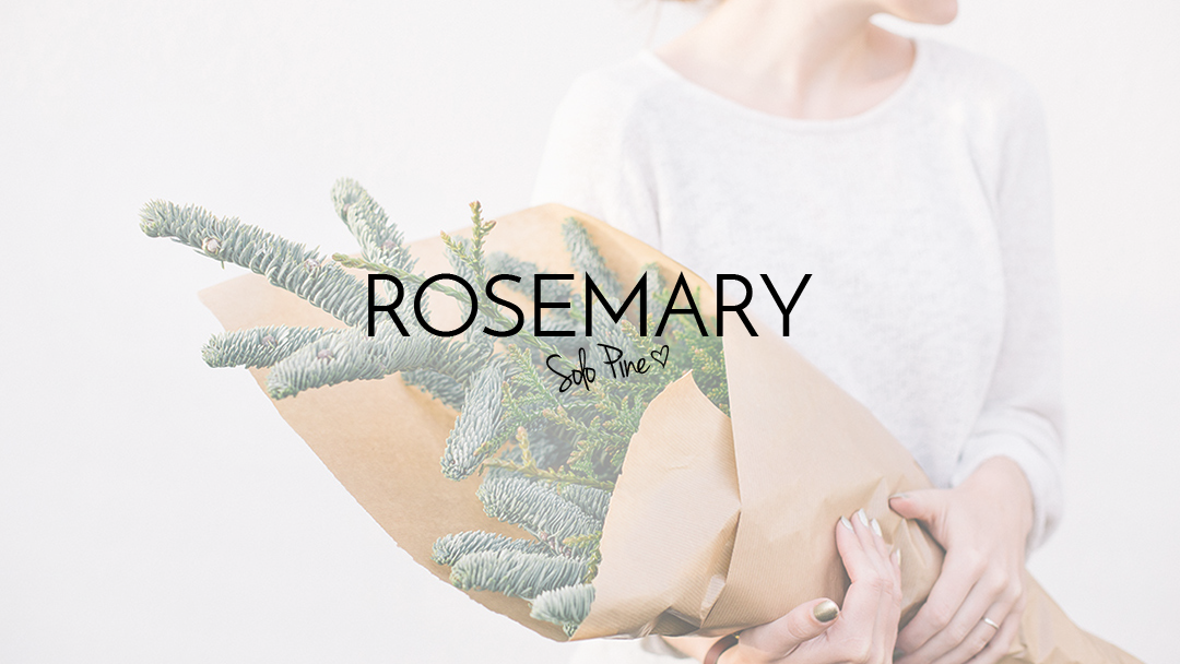 Rosemary_SoloPine_Icon_02.png