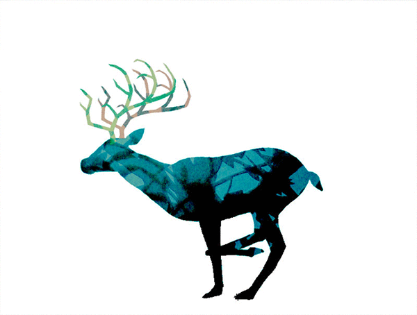 Ellen Hickey, Run Deer