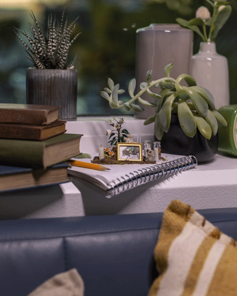 ezgif.com-gif-maker (8).gif