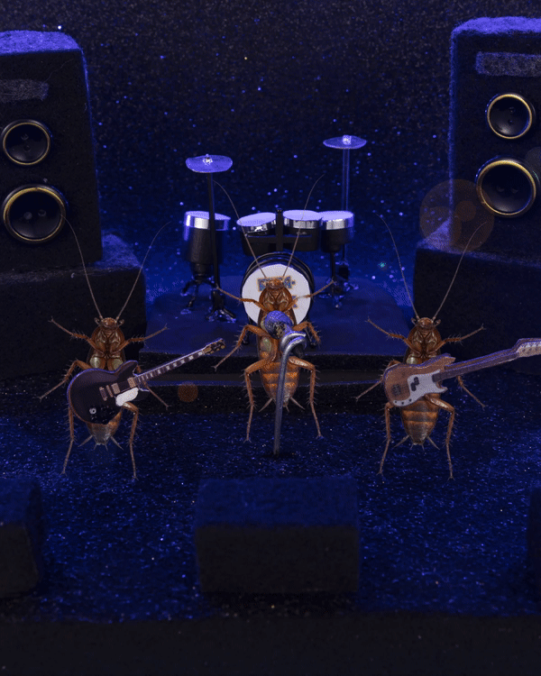 ezgif.com-gif-maker (11).gif