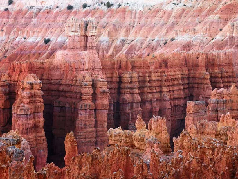 The Hoodoos