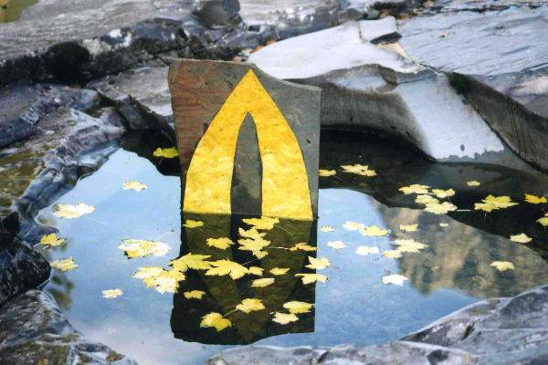 Autumn_Venus_with_floating_leaves-600x400.jpg