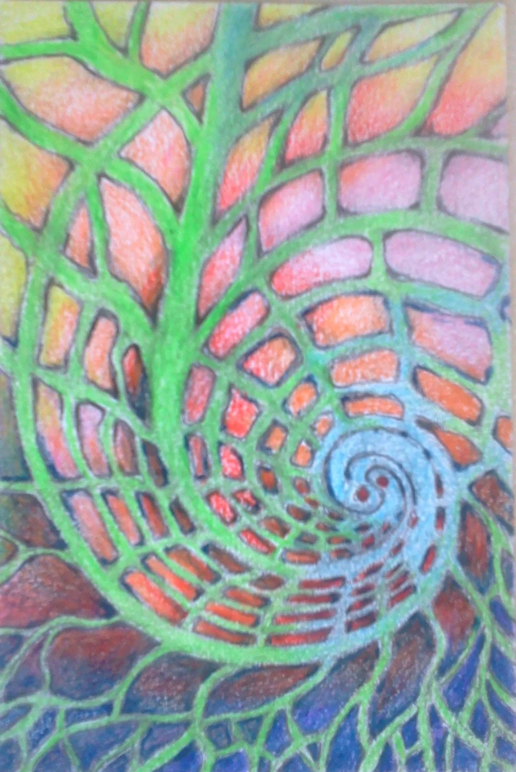 Fibonaci Drawing.jpg