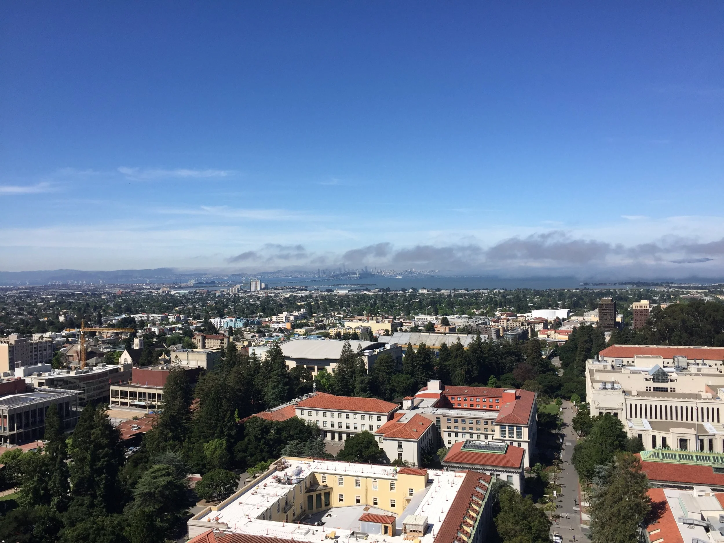 UC Berkeley from atop Sather Tower with San Francisco off in the distance