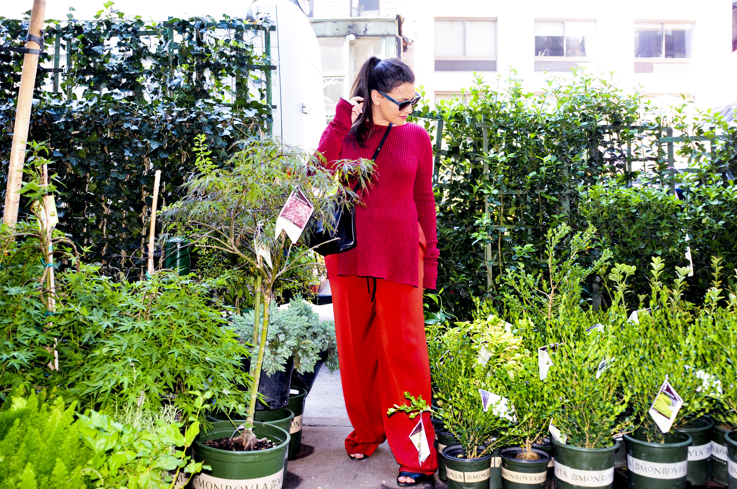 RED CRINKLEKNIT CREWNECK SWEATER , TOMATOE RED FRINGED LOUNGE PANT, BLACK MINI 'BLOGGER' BAG
