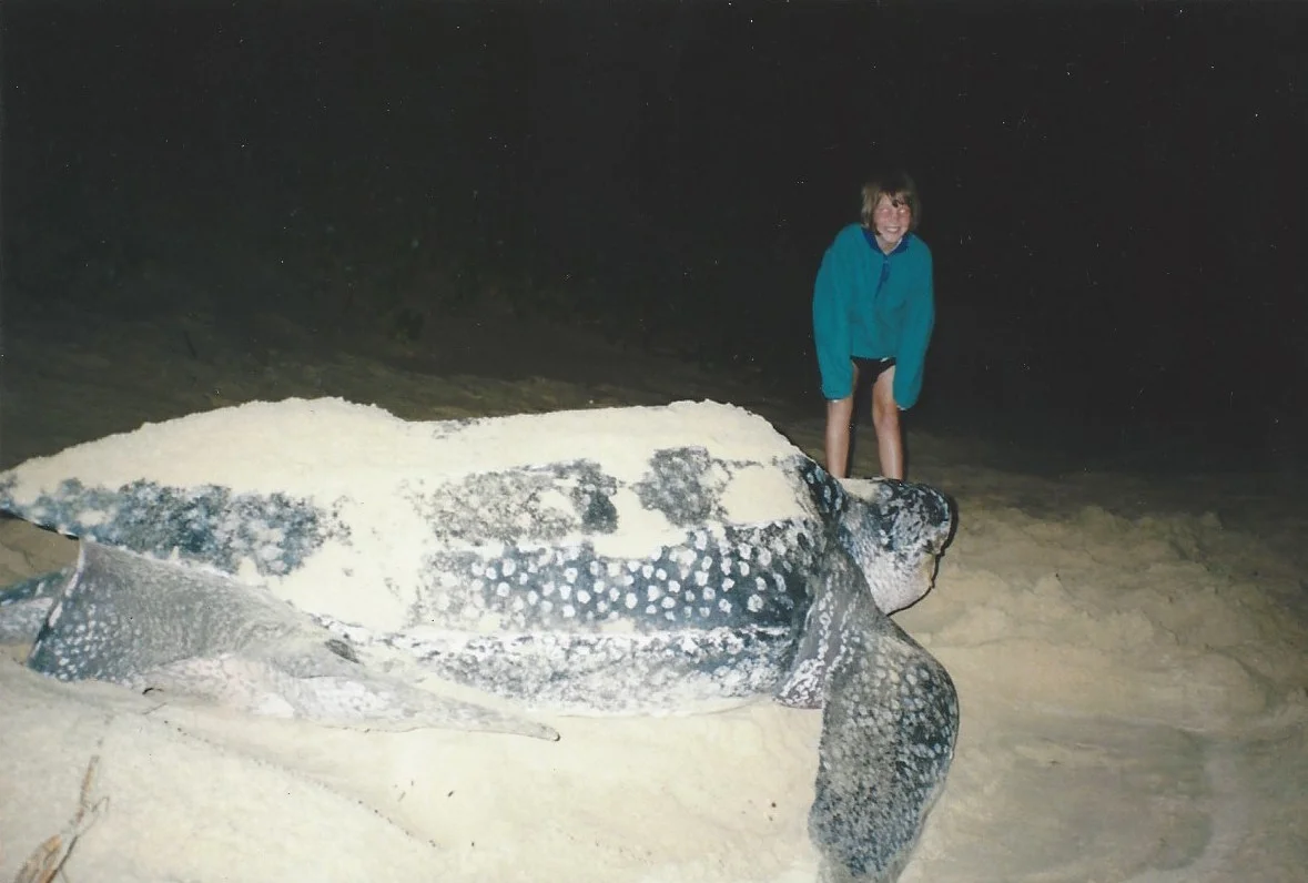 Fig.1 Our family’s first turtle sighting in South Africa, 1997. My sister alongside a nesting leatherback sea turtle.