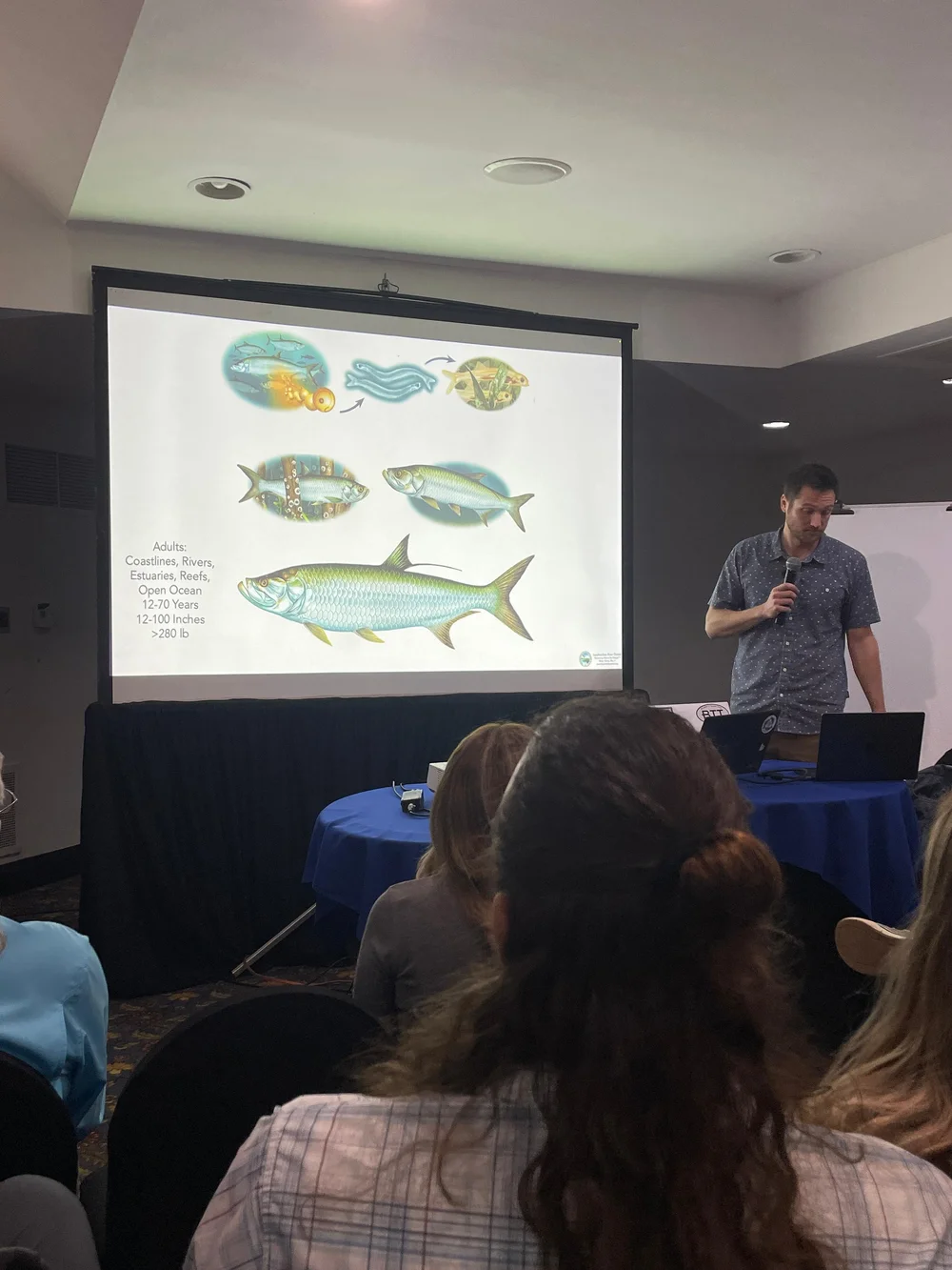 Copia de 2b53f306-0b9a-48a4-a5a4-3aa98f623ef1.jpg