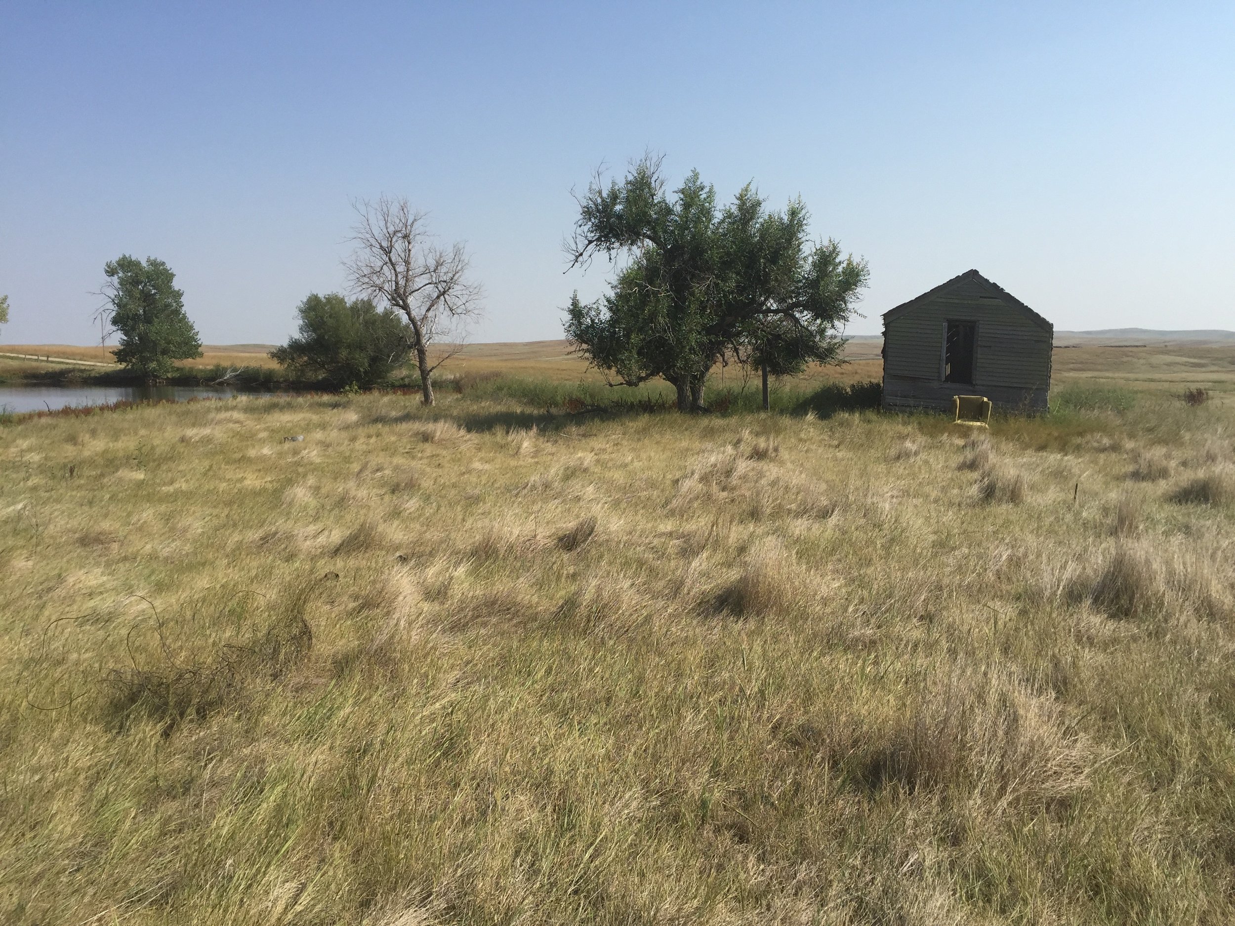 The site of the homestead house near Ardmore, SD where my grandmother grew up, 2015.