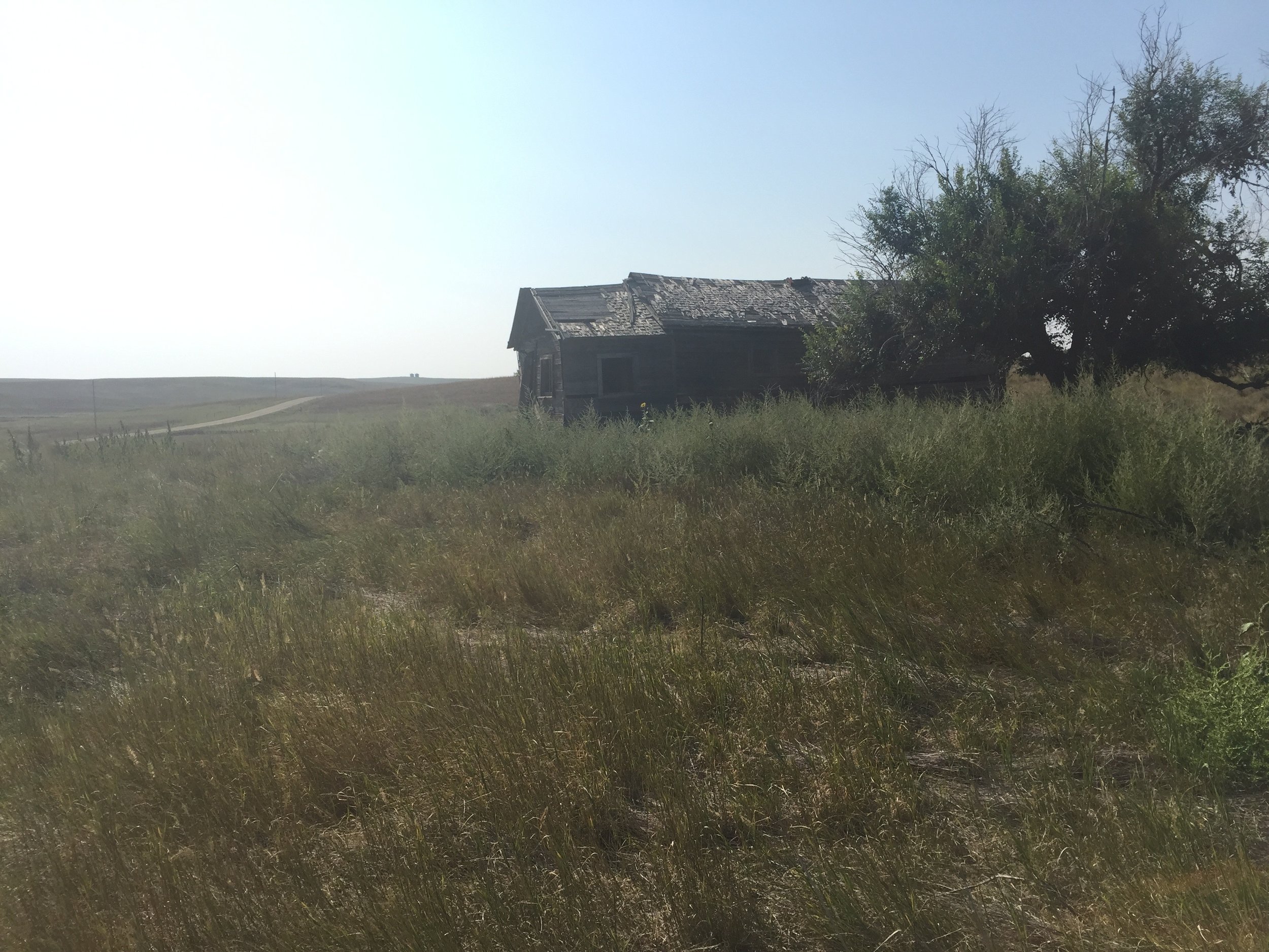  The site of the homestead house near Ardmore, SD where my grandmother grew up, 2015. 