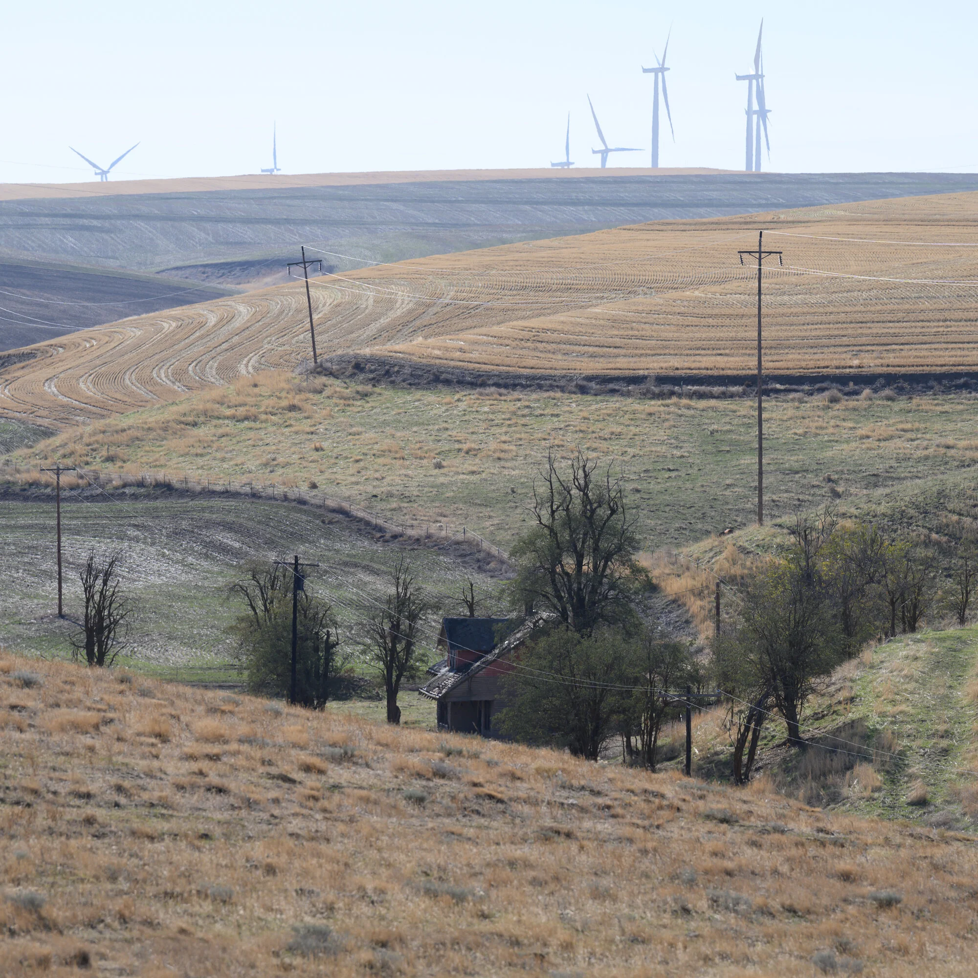 HauntedHouse-Windmills-Powerlines.jpg