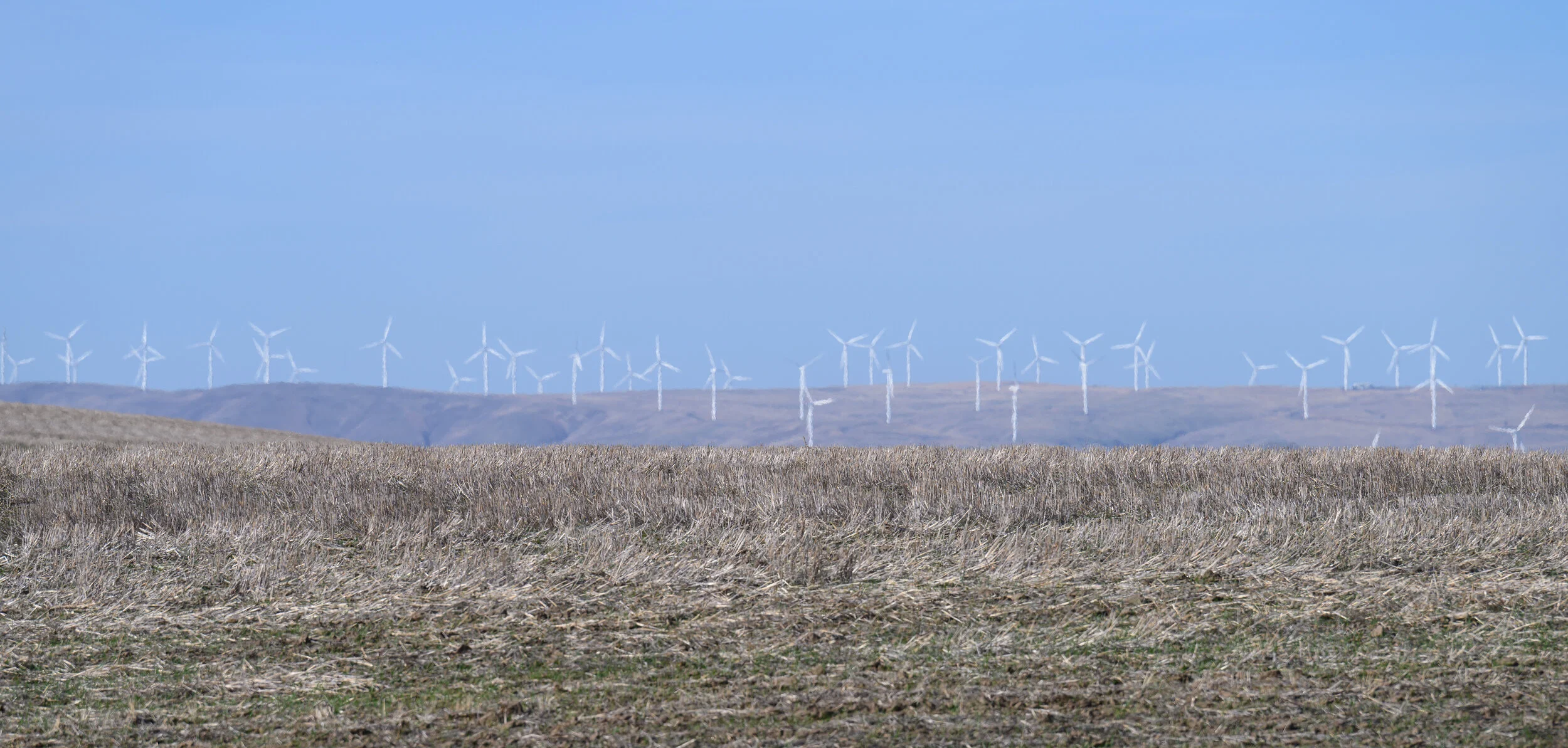 HorizonOfWindmills-cropped.jpg