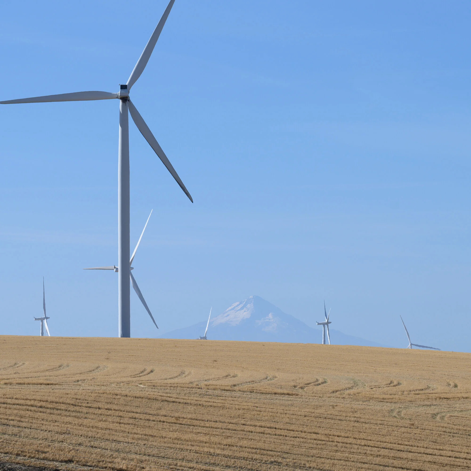MtHoodWindmills-square.jpg