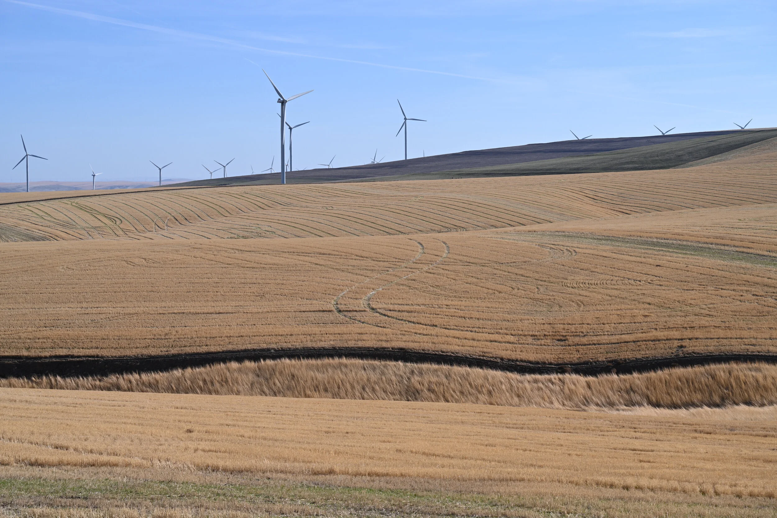WindmillsCurve-Closeup.jpg