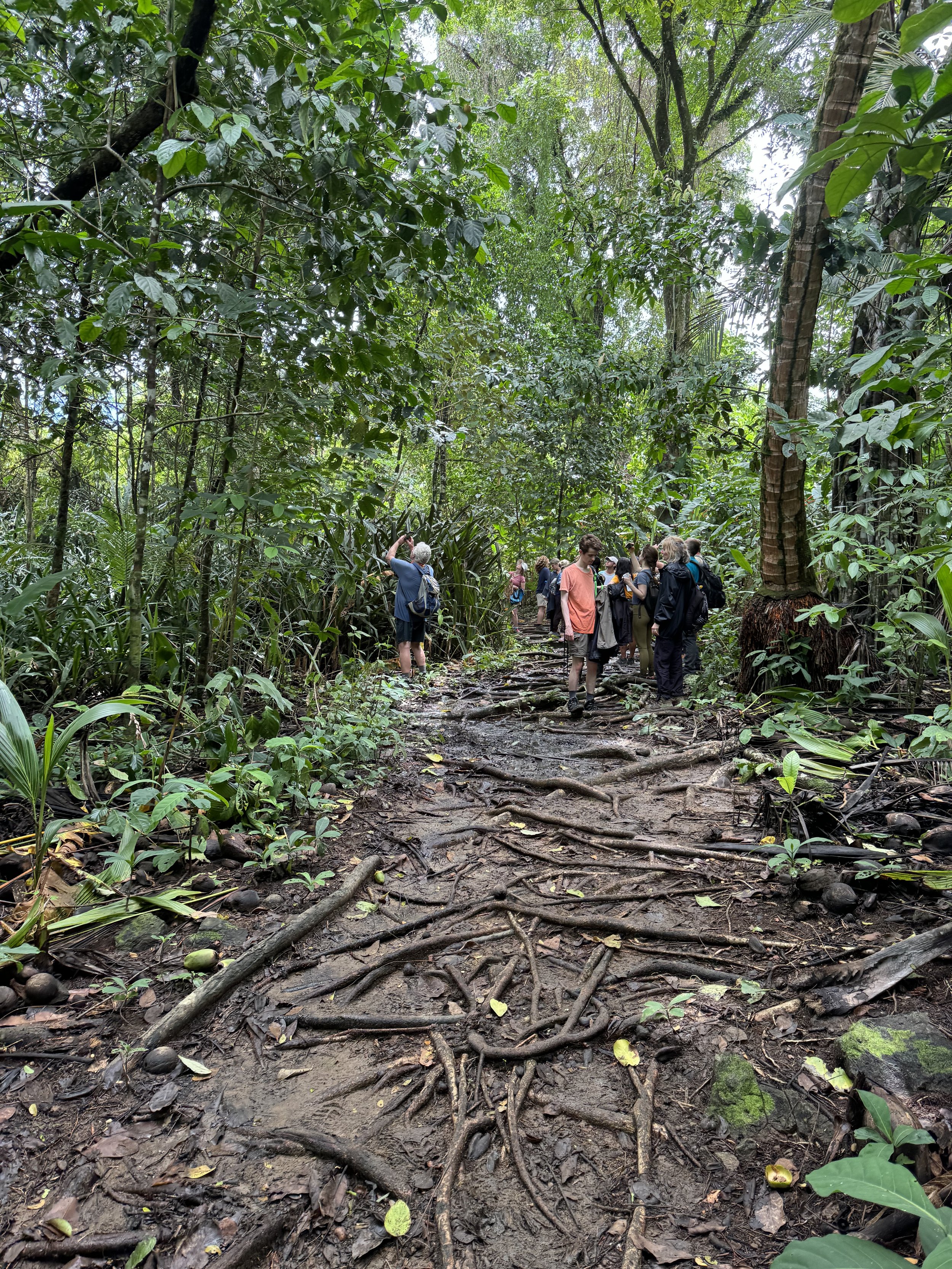 Trail