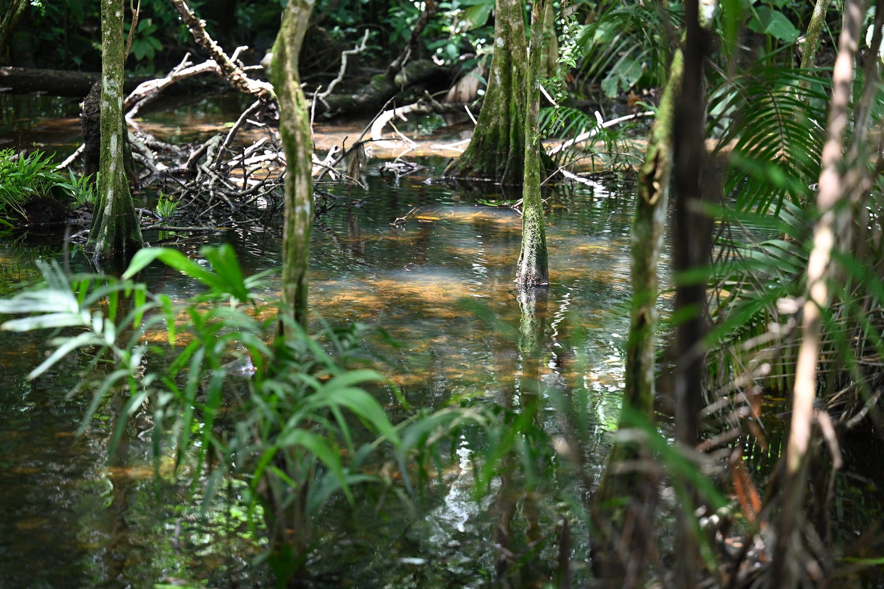water