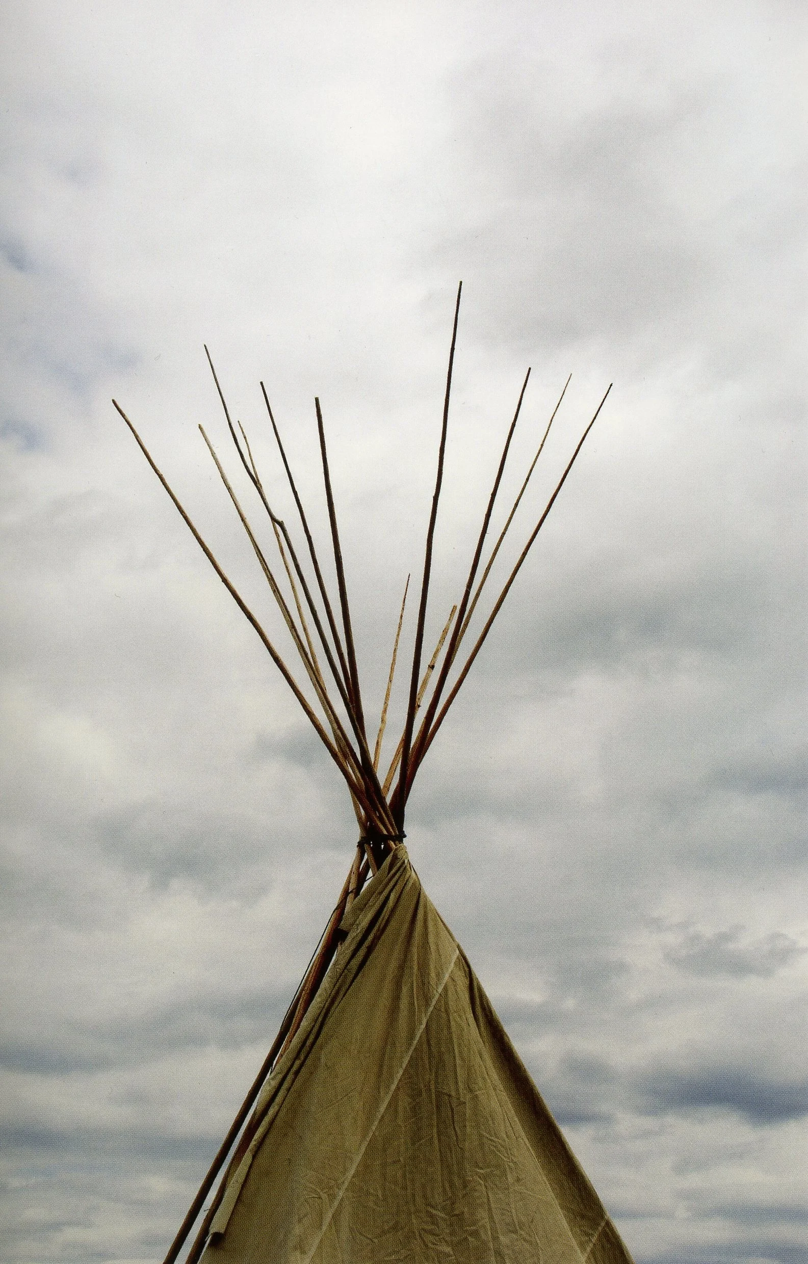 img003.jpg