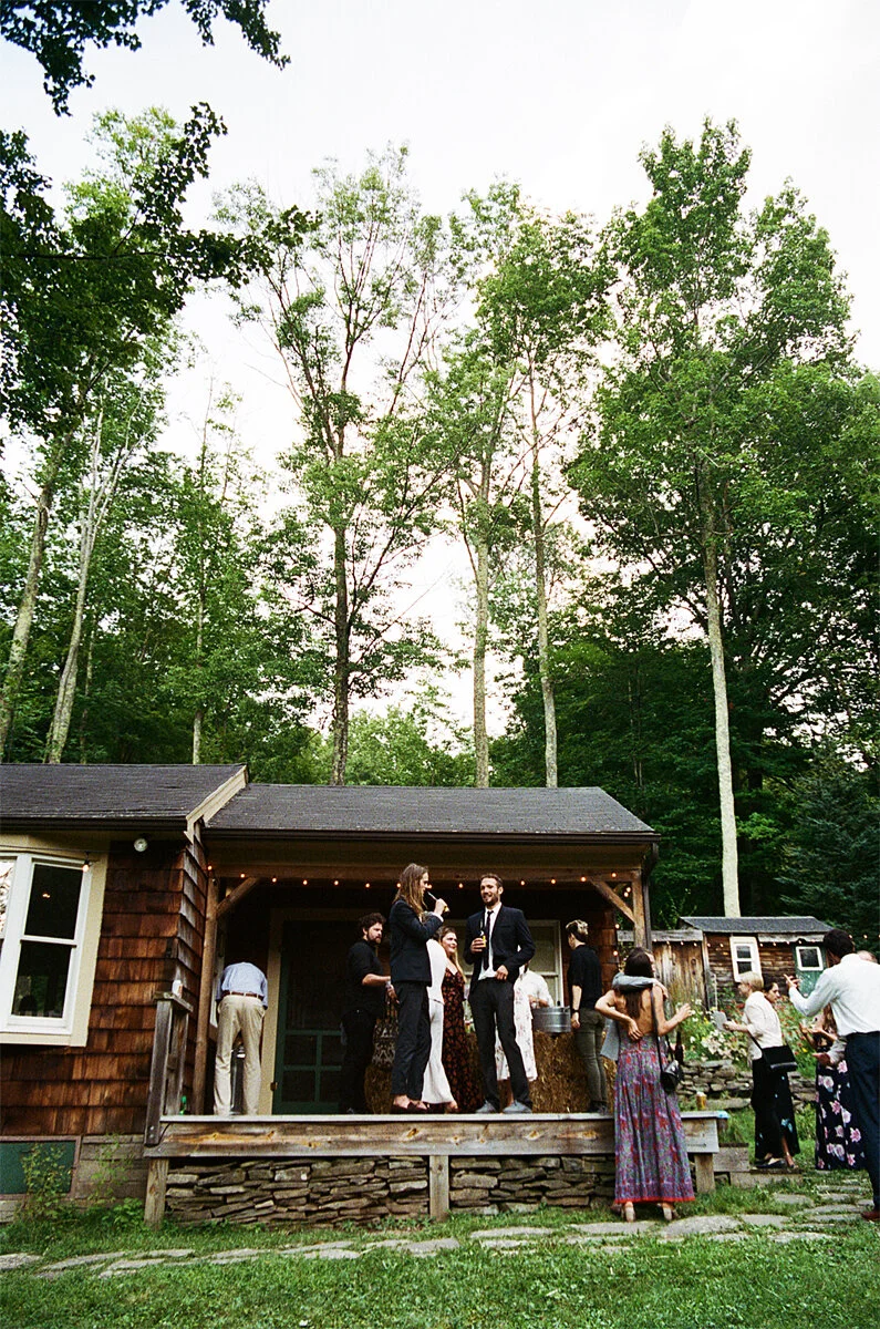 420867_treelights_007_9A.jpg