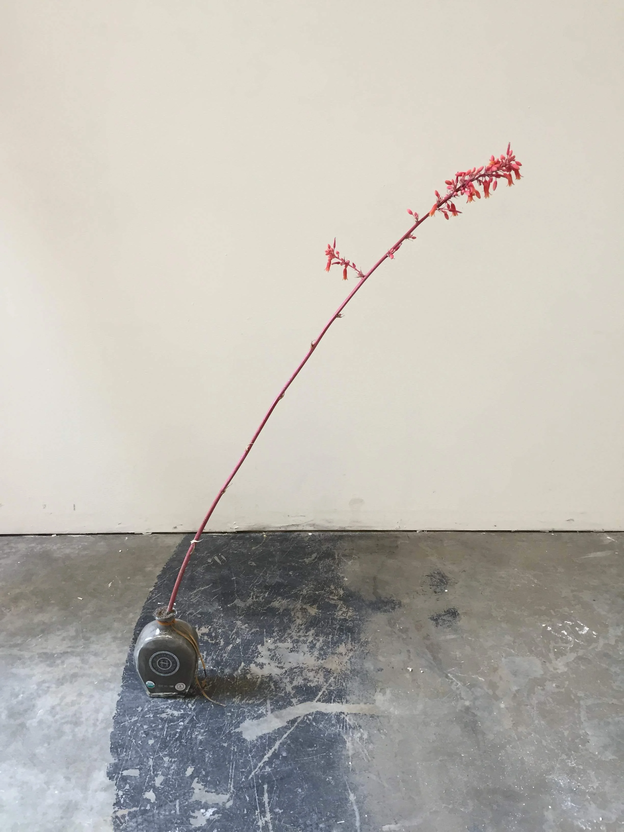 For Your Pleasure, (2015)