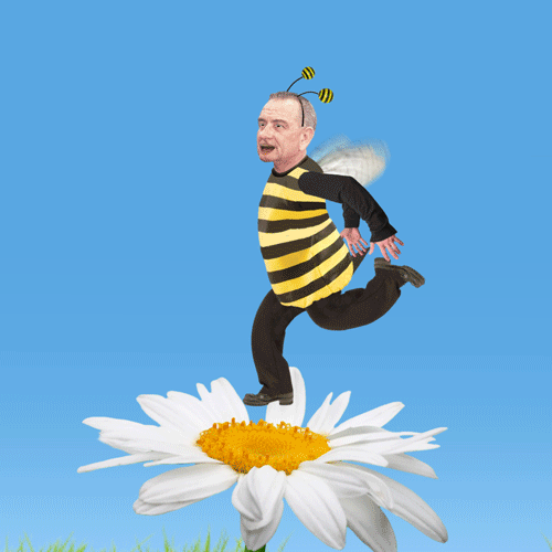 #36 – LYNDON BEE JOHNSON. America got enthusiastically bee-hind LBJ’s war on poverty. War in Vietnam was another story.