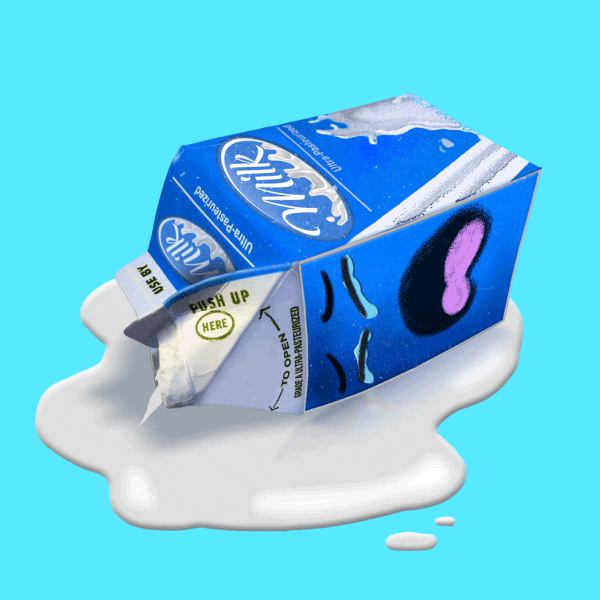 GIPHY STICKERS EXTRA ORDINARY STUFF — chris timmons