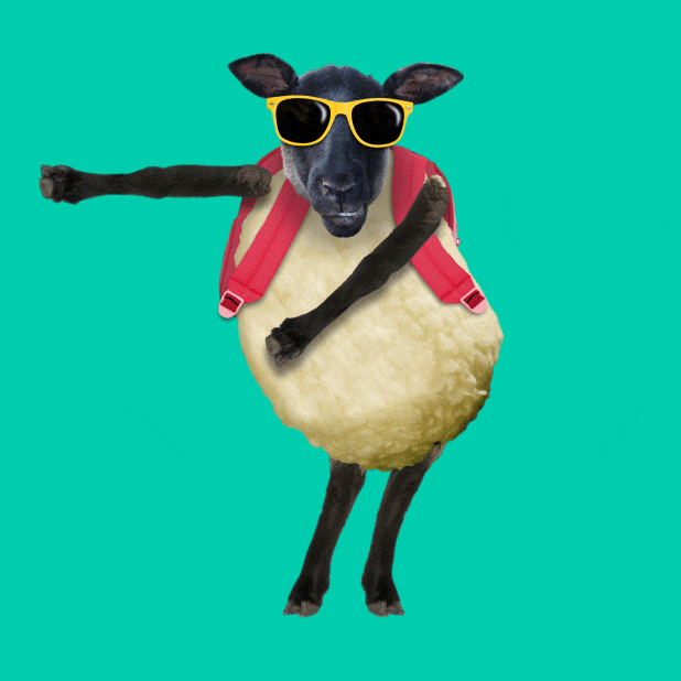 GIPHY STICKER PACK - PARTY ANIMALS — chris timmons