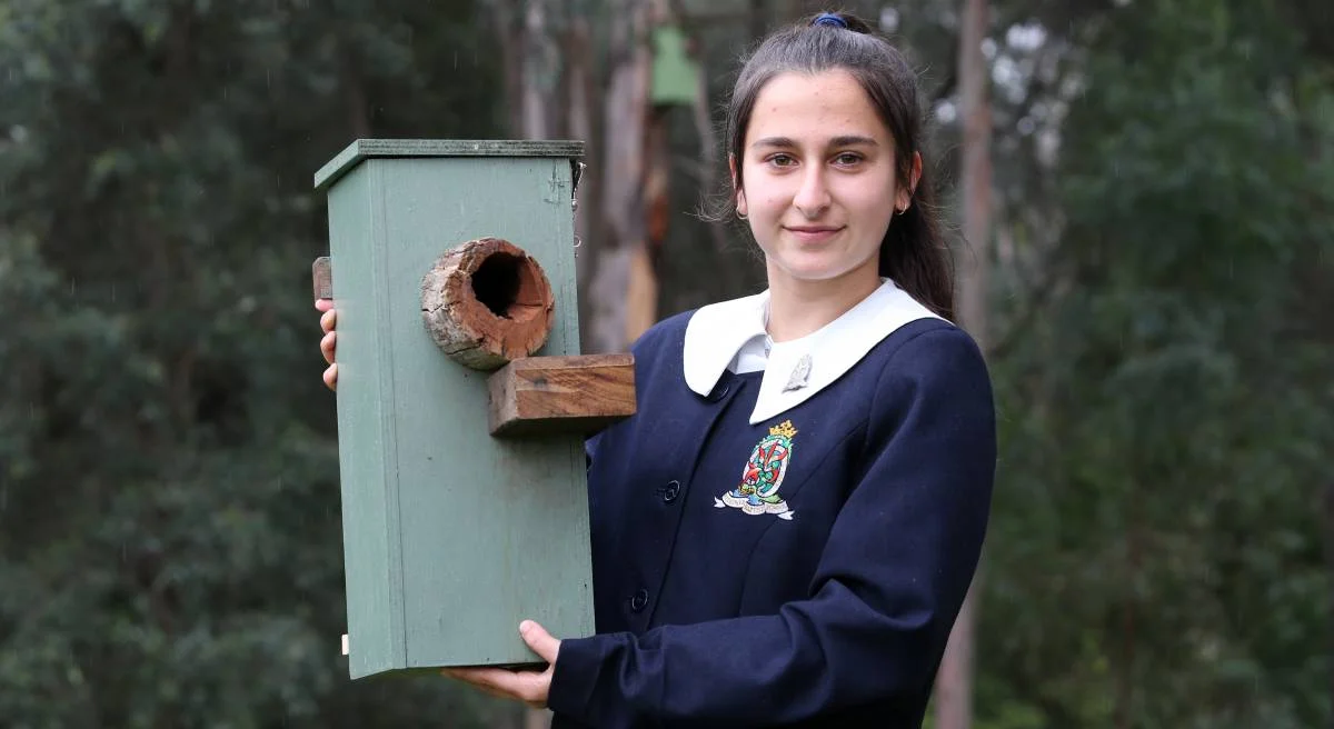 Rare find: “It makes me happy and proud that we’re helping sugar gliders live," Redeemer Baptist School Year 10 student Evette Khaziran said. Picture: Geoff Jones