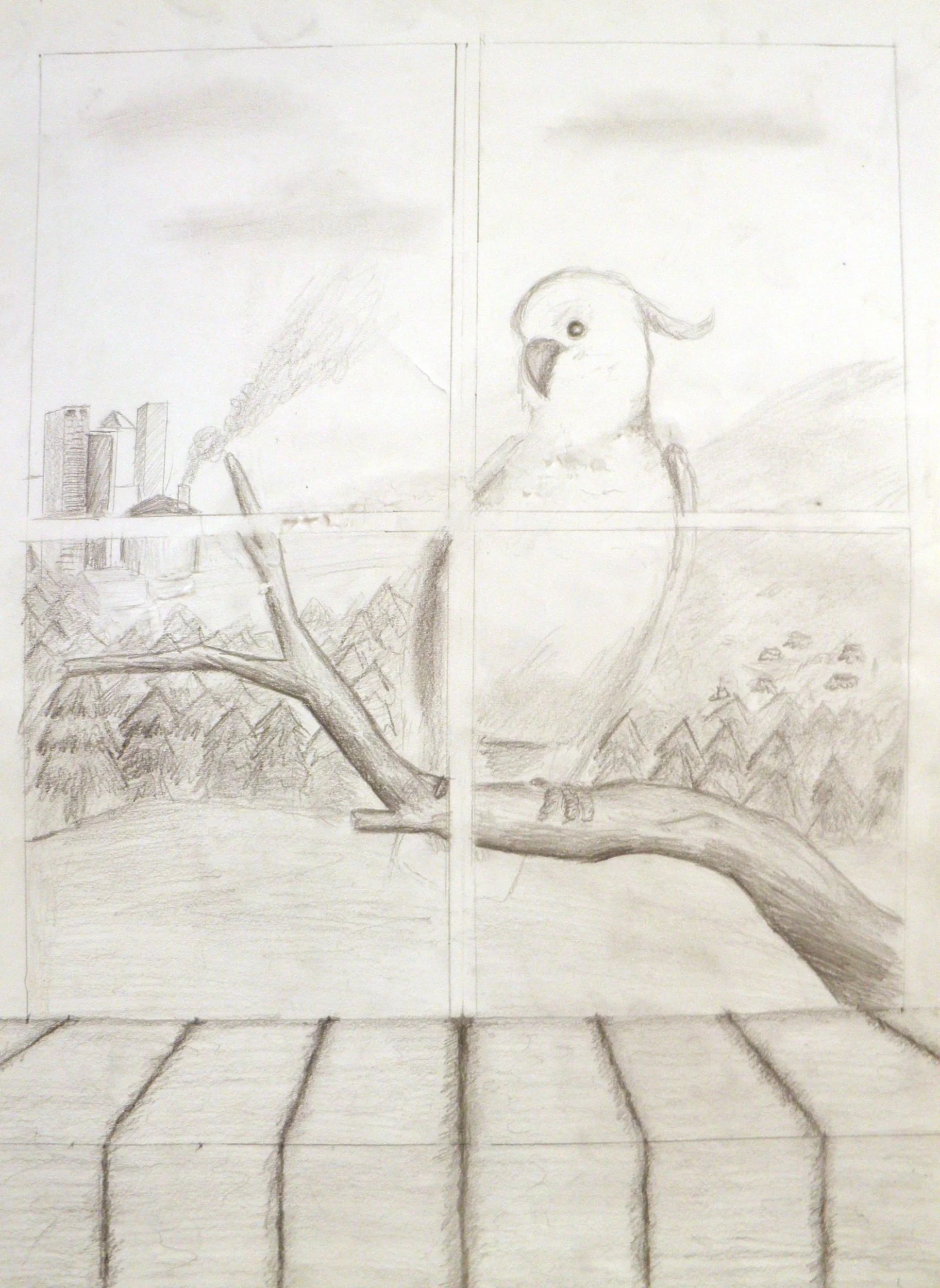 Cockatoo
