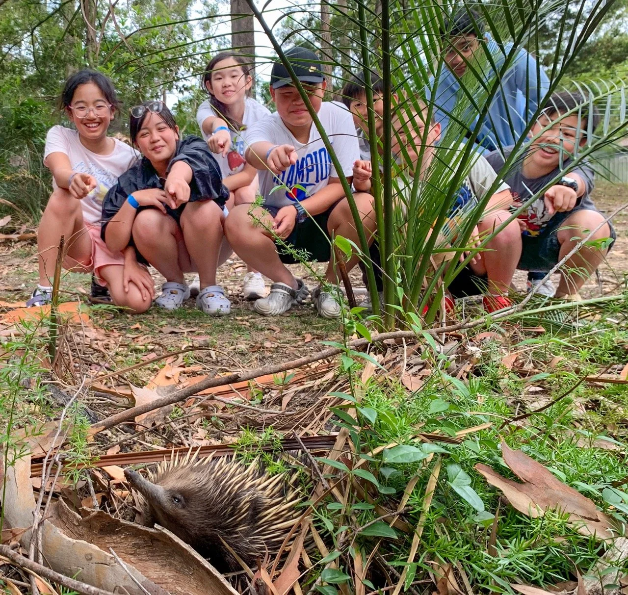 Copy of IMG_0467 Large.jpeg