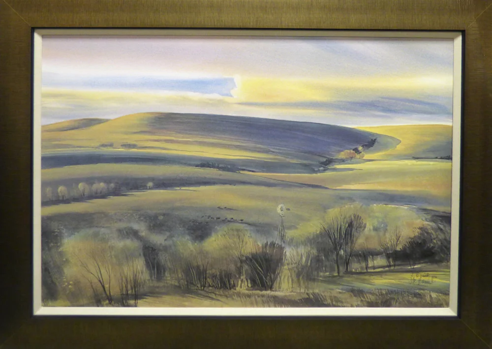 Grassland Panorama (14-23590)