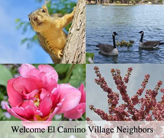 ECV Spring Mural.jpg