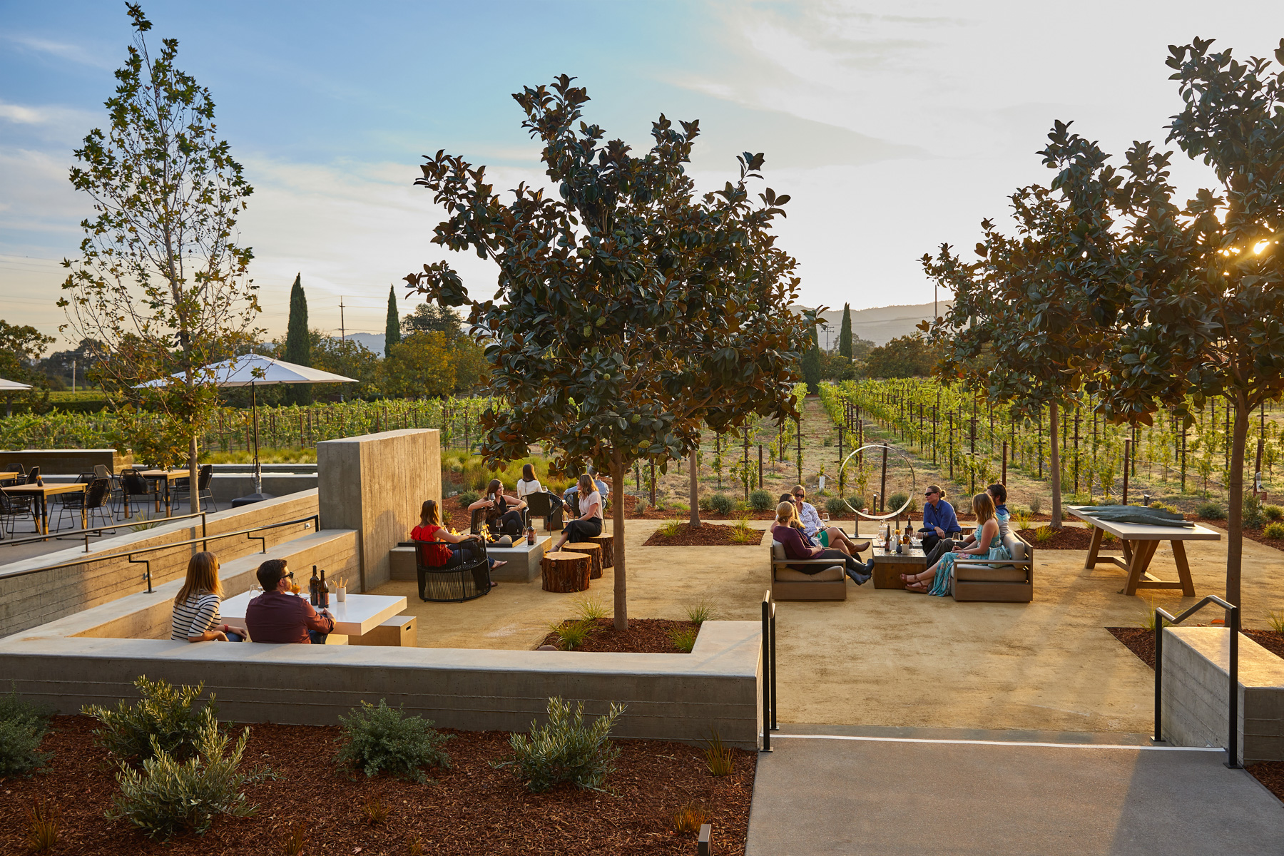 Magnific Frontyard with the view of Napa Valley at Sunset