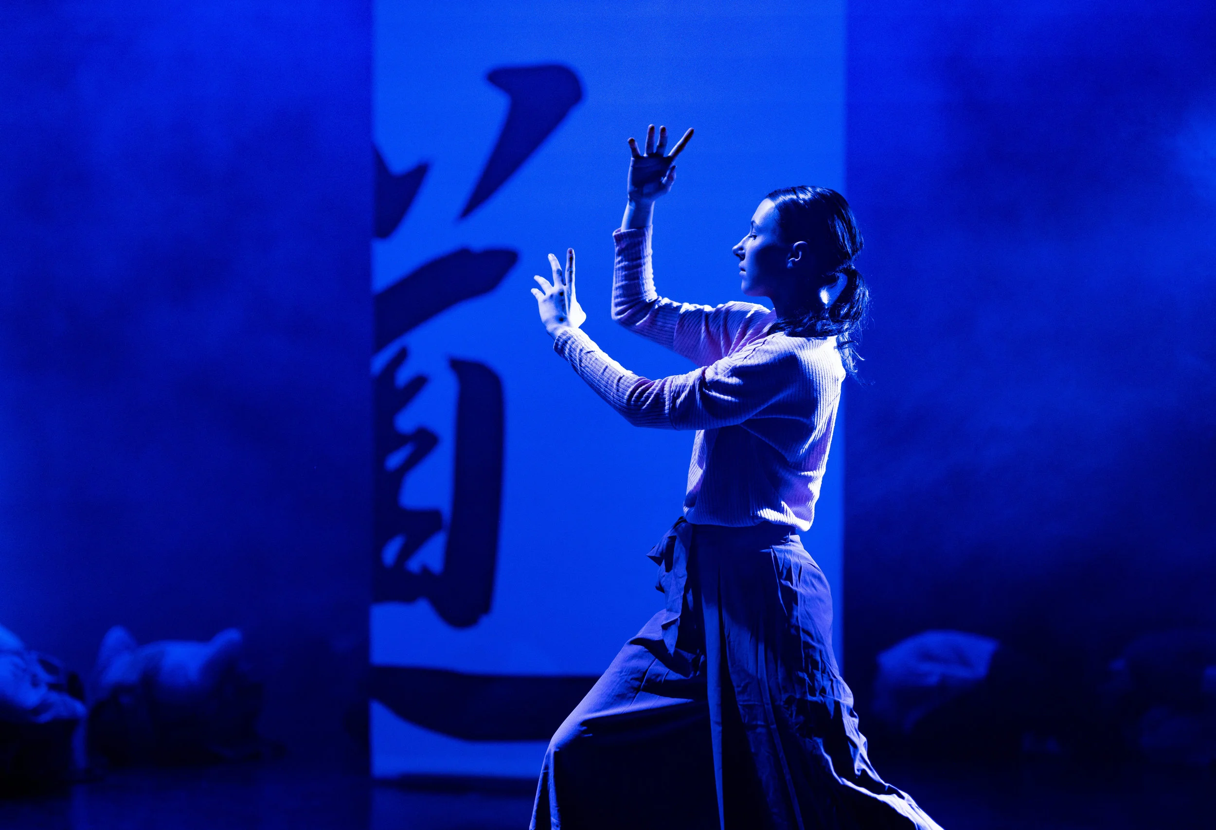 Jayden Hicks &amp; ODC wow audiences with SENSEI