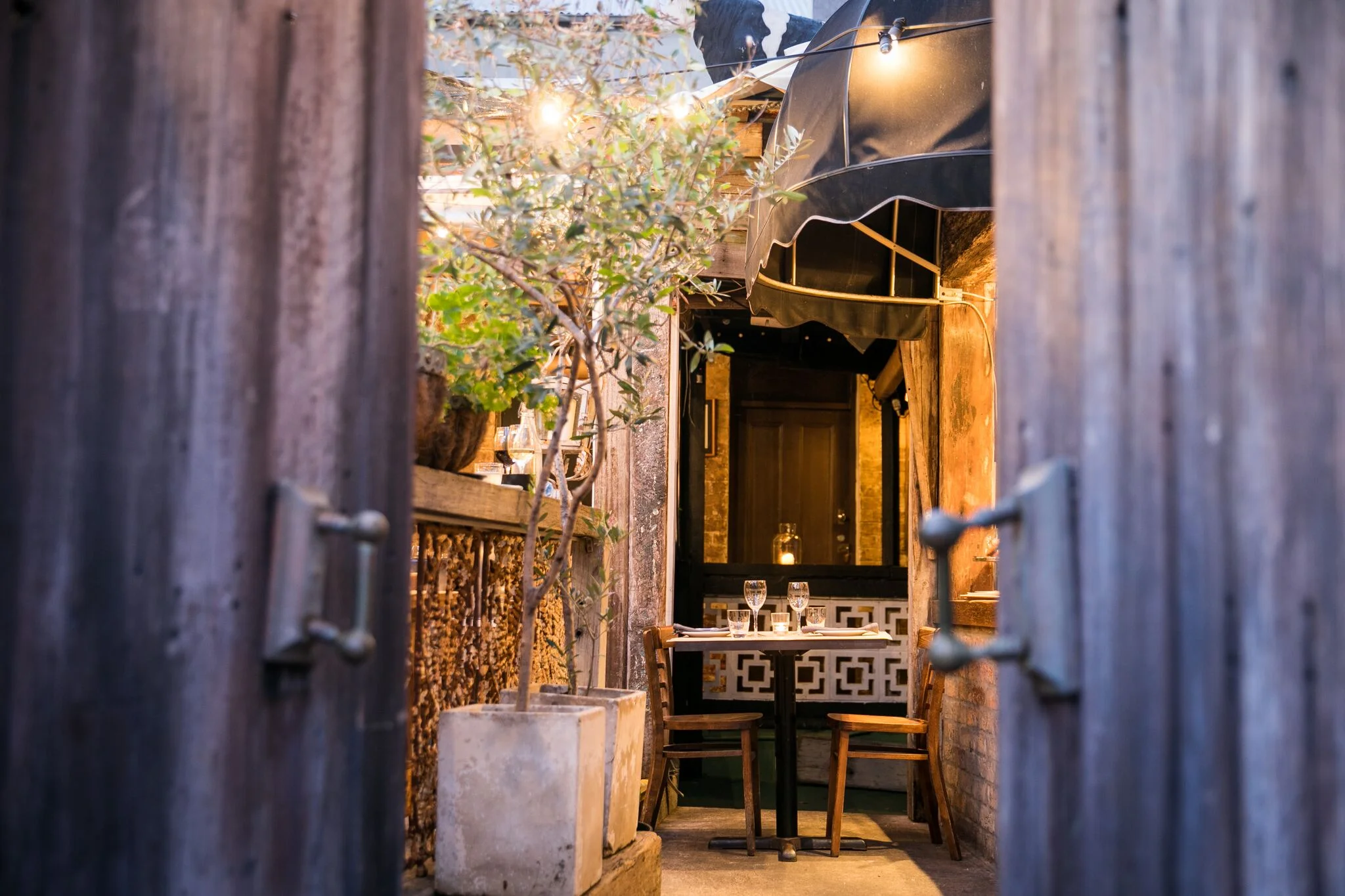 Surry Hills Spring Tasting Trail: Essenza Italian