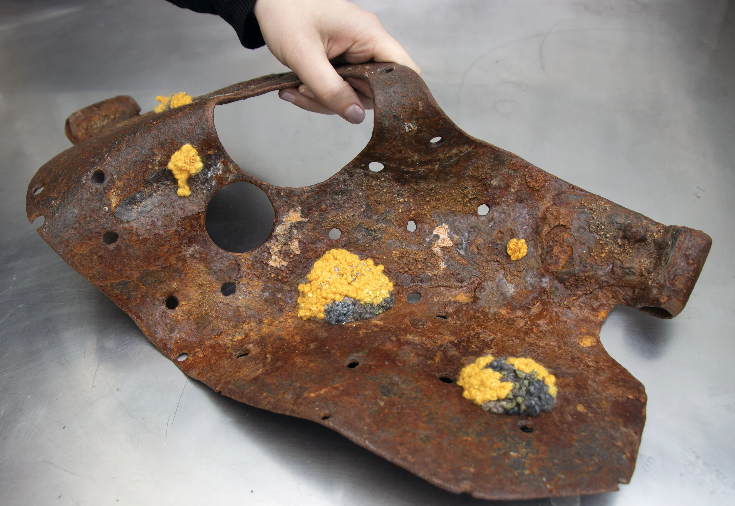 Molyneux Rediscovered. Susan Richardson. Otago Polytechnic.